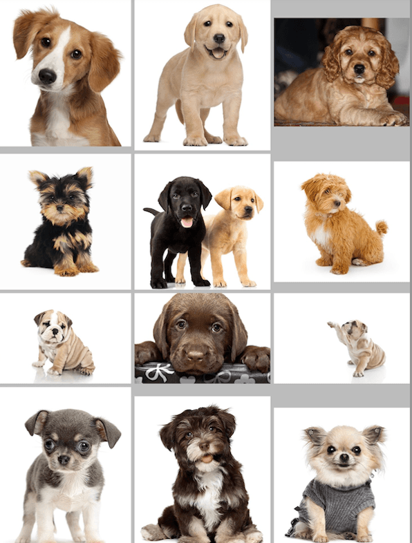 14b81fea3518cc506feb4990fd5f07a7.png